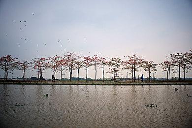 第一人称恐怖游戏《Whispers in the Fog》实机预告片